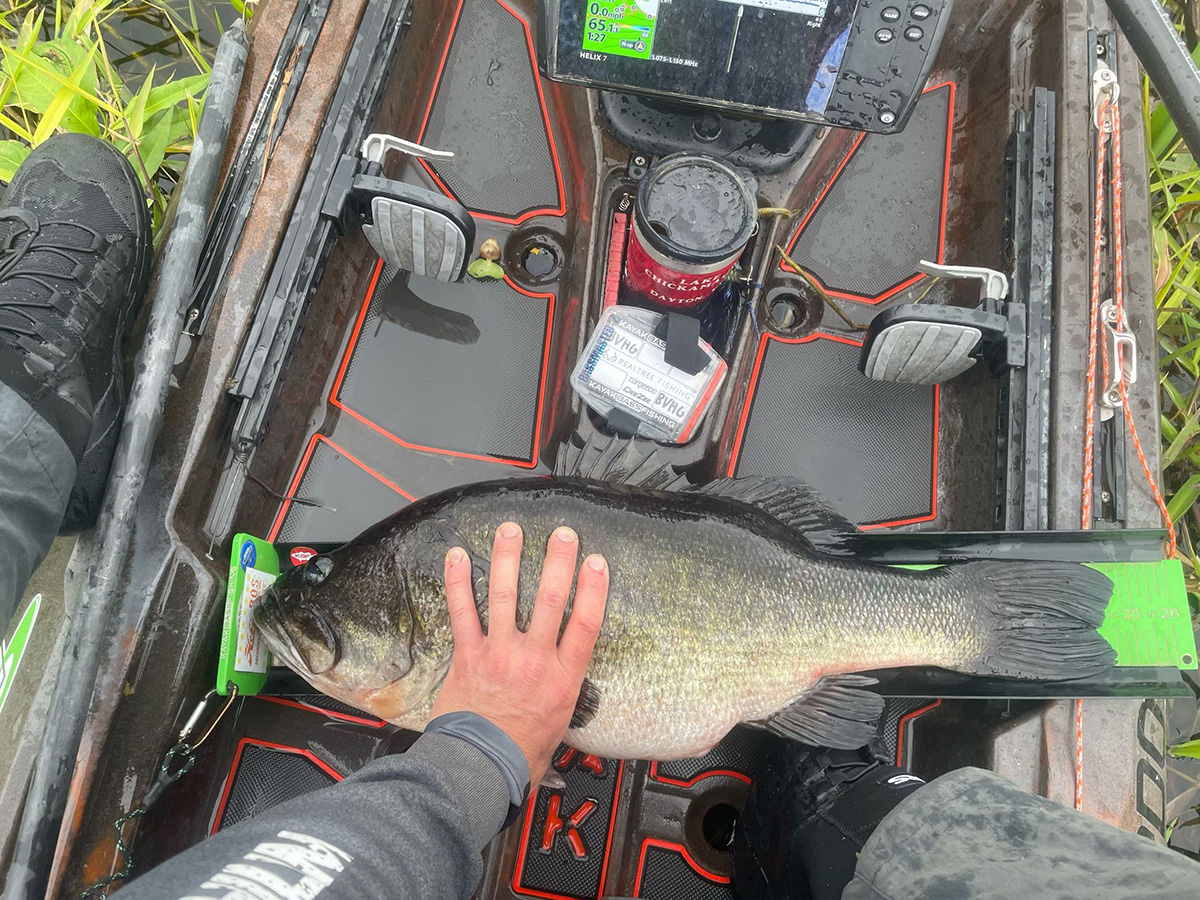 Big Bass