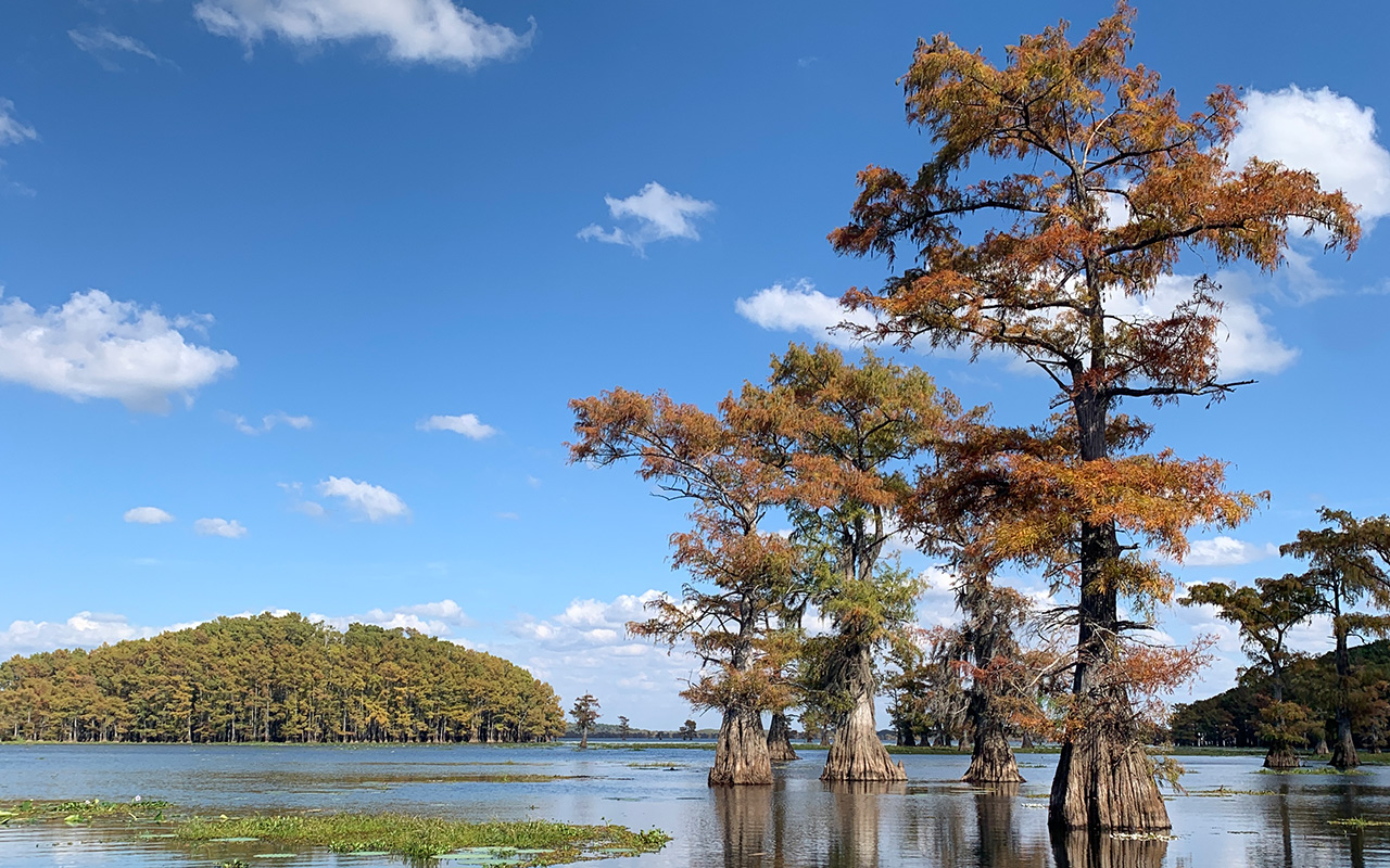 Caddo Lake